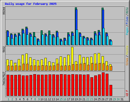 Daily usage for February 2025