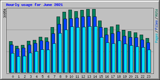 Hourly usage for June 2021