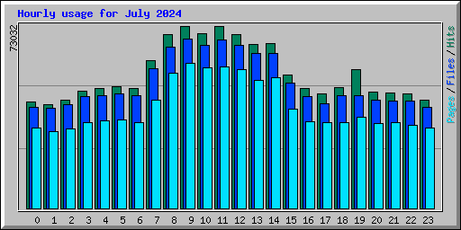 Hourly usage for July 2024