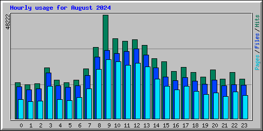 Hourly usage for August 2024