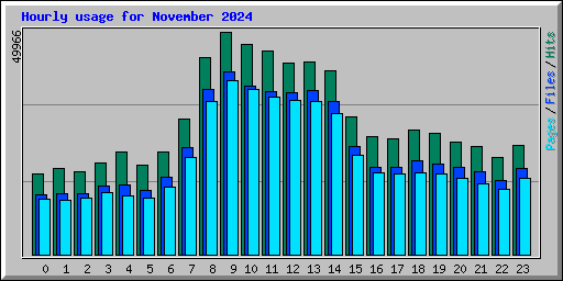 Hourly usage for November 2024