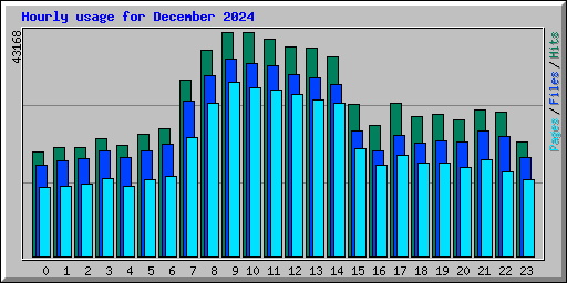 Hourly usage for December 2024