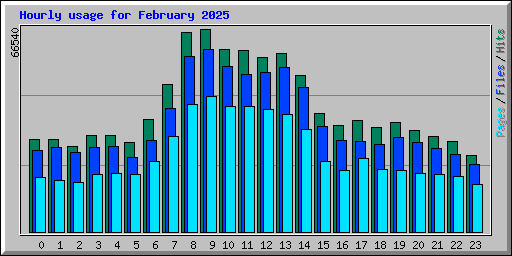 Hourly usage for February 2025