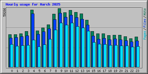 Hourly usage for March 2025
