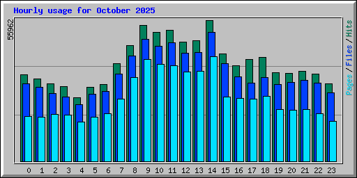Hourly usage for October 2025