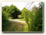 [Click to enlarge image]