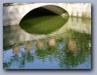 [Click to enlarge image]