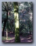 [Click to enlarge image]