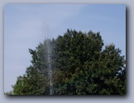 [Click to enlarge image]