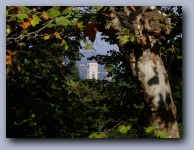 [Click to enlarge image]
