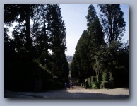 [Click to enlarge image]