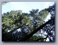 [Click to enlarge image]
