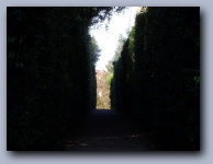 [Click to enlarge image]