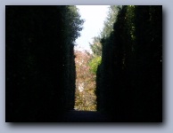 [Click to enlarge image]