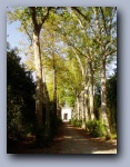 [Click to enlarge image]