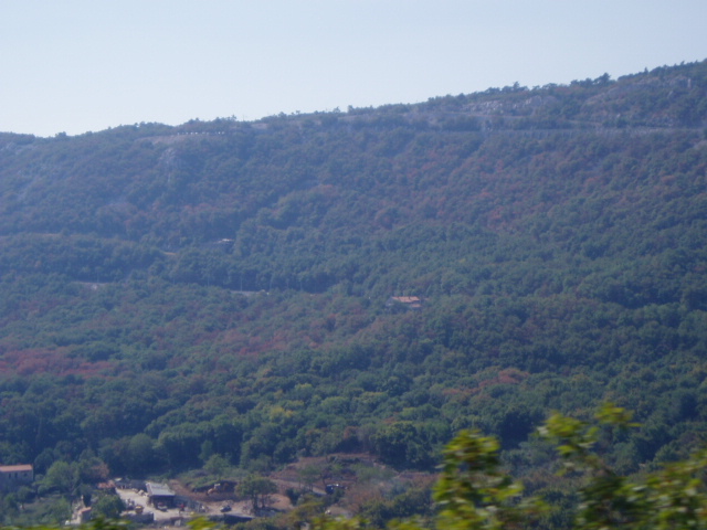 image14
