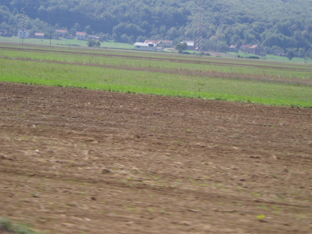 image19
