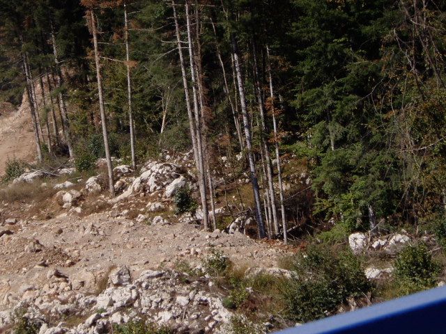 image25