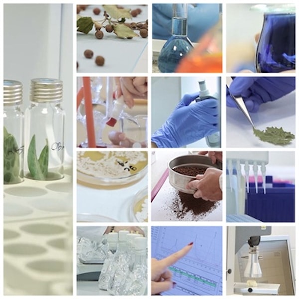 Povećanje inovativnosti istraživanja u poljoprivredi i šumarstvu Mediterana osuvremenjivanjem infrastrukture i unaprjeđenjem izvrsnosti istraživačke grupe (INOMED-2I)