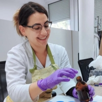 Jelena Žarković Krolo